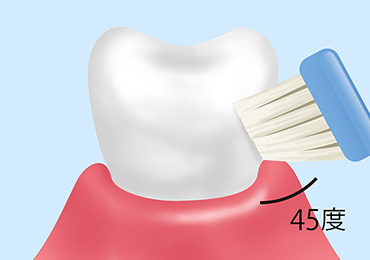 ブラッシング指導